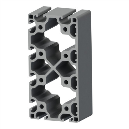 Profilé aluminium (Barre de 6 m) – Rainure 8 mm – section 160x80 mm – 4N – Léger - Elcom shop