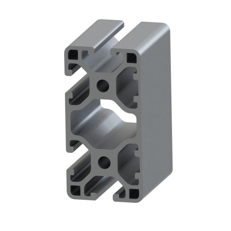 Profilé aluminium (Barre de 6 m) – Rainure 6 mm – 60x30 mm – 2N - Léger - Elcom shop