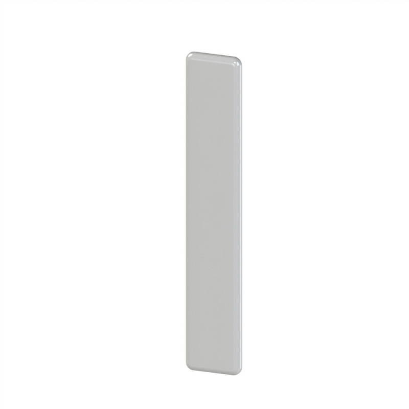 Embout profilé aluminium  – Rainure 8 mm – Section 160x28 mm - Gris