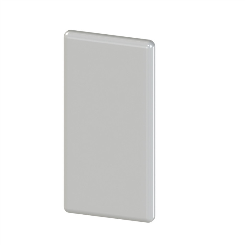 Embout profilé aluminium (Boîte de 100 unités) – Rainure 6 mm – Section 30x30 mm - Gris