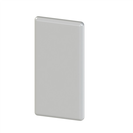 Embout profilé aluminium (Boîte de 100 unités) – Rainure 6 mm – Section 30x30 mm - Gris