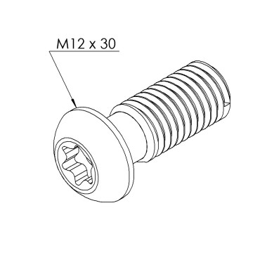 Vis profilé aluminium – Rainure 10 mm - Filetage M12x30 - T50