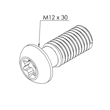 Vis profilé aluminium – Rainure 10 mm - Filetage M12x30 - T50 - Geomet