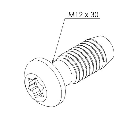 Vis profilé aluminium – Rainure 10 mm - Filetage S12x30 - T50 - Autotaraudeuse