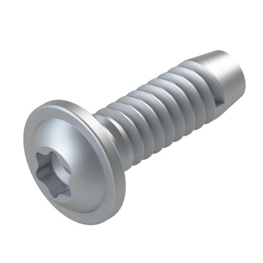 Vis profilé aluminium (Boîte de 100 unités) – Rainure 8 mm - Filetage S8x25 - T40 - Autotaraudeuse