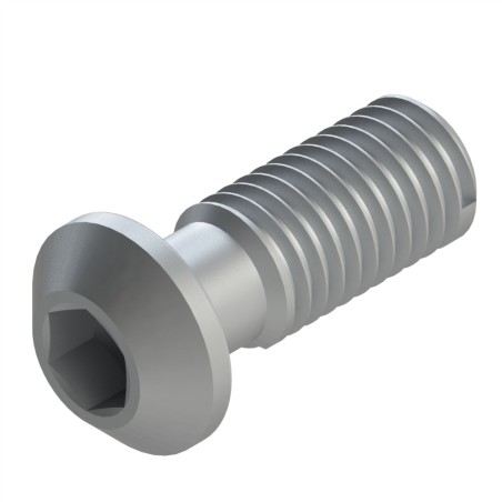 Vis profilé aluminium (Boîte de 100 unités) – Rainure 10 mm - Filetage M12x30 - Hexagonale
