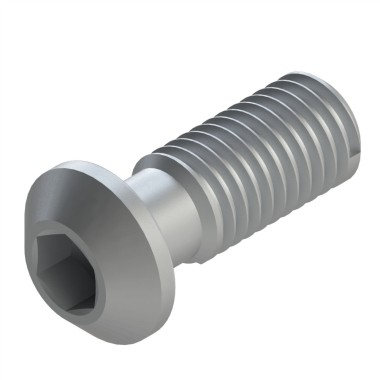 Vis profilé aluminium (Boîte de 100 unités) – Rainure 10 mm - Filetage M12x30 - Hexagonale