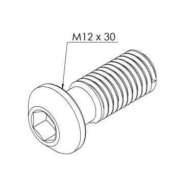 Vis profilé aluminium (Boîte de 100 unités) – Rainure 10 mm - Filetage M12x30 - Hexagonale