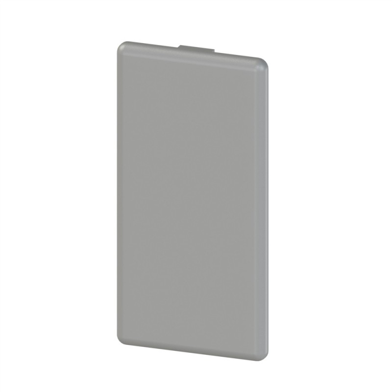 Embout profilé aluminium (Boîte de 10 unités) – Rainure 10 mm – Section 90x45 mm - Gris Embout profilé aluminium (Boîte de 10 unités) – Rainure 10 mm – Section 90x45 mm - Gris