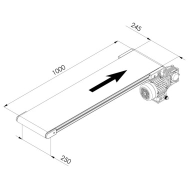 Convoyeur industriel - C40 - 250x1000 mm