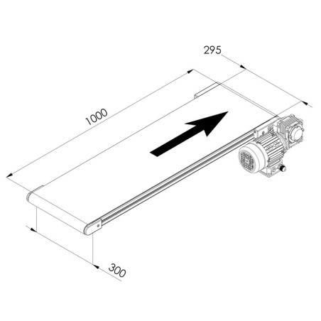 Convoyeur industriel - C40 - 300x1000 mm